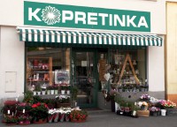 /album/fotogalerie-kopretinka-kralupy/a1upr-klara-jpg/